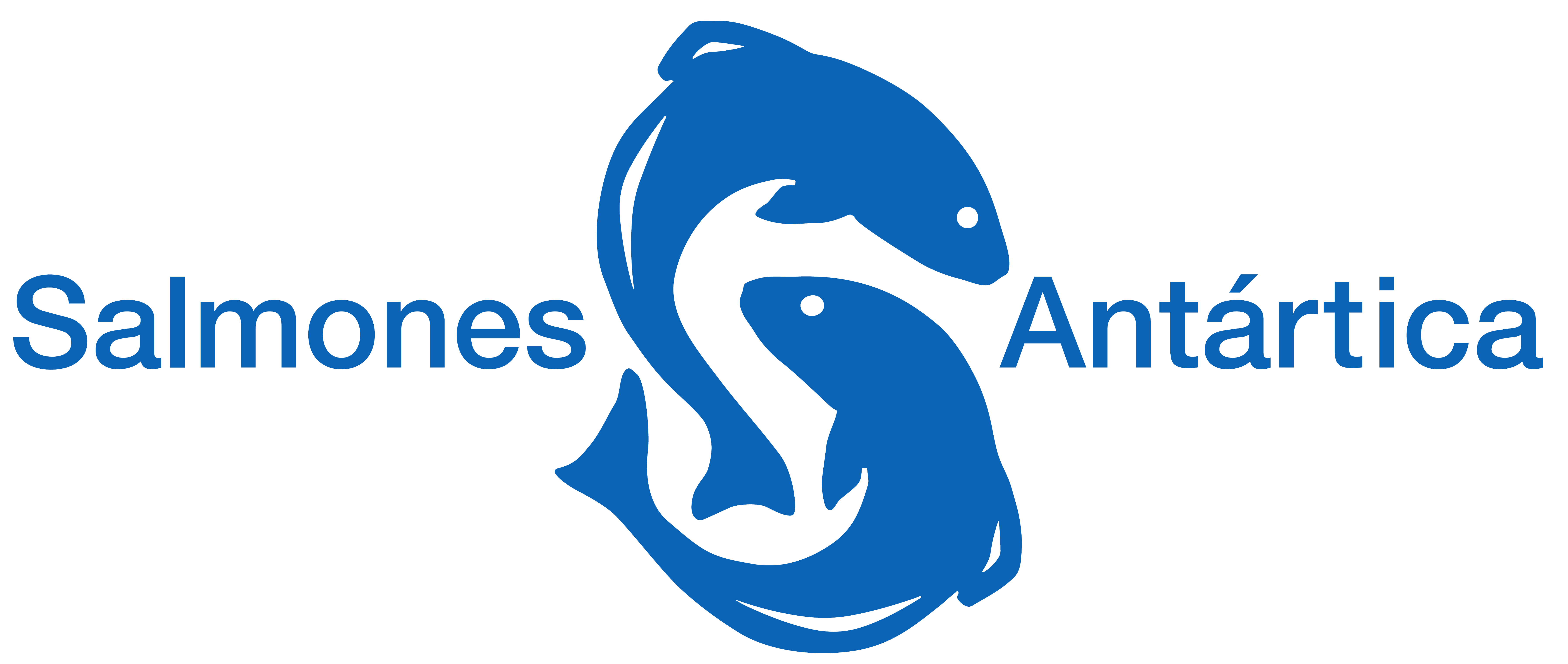 Sasa