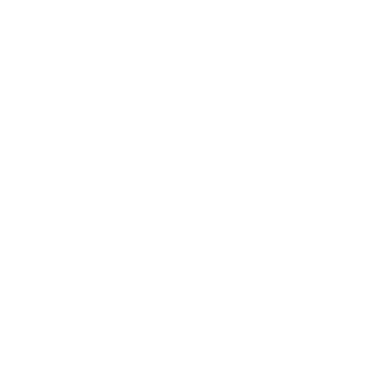 Universidad de Chile